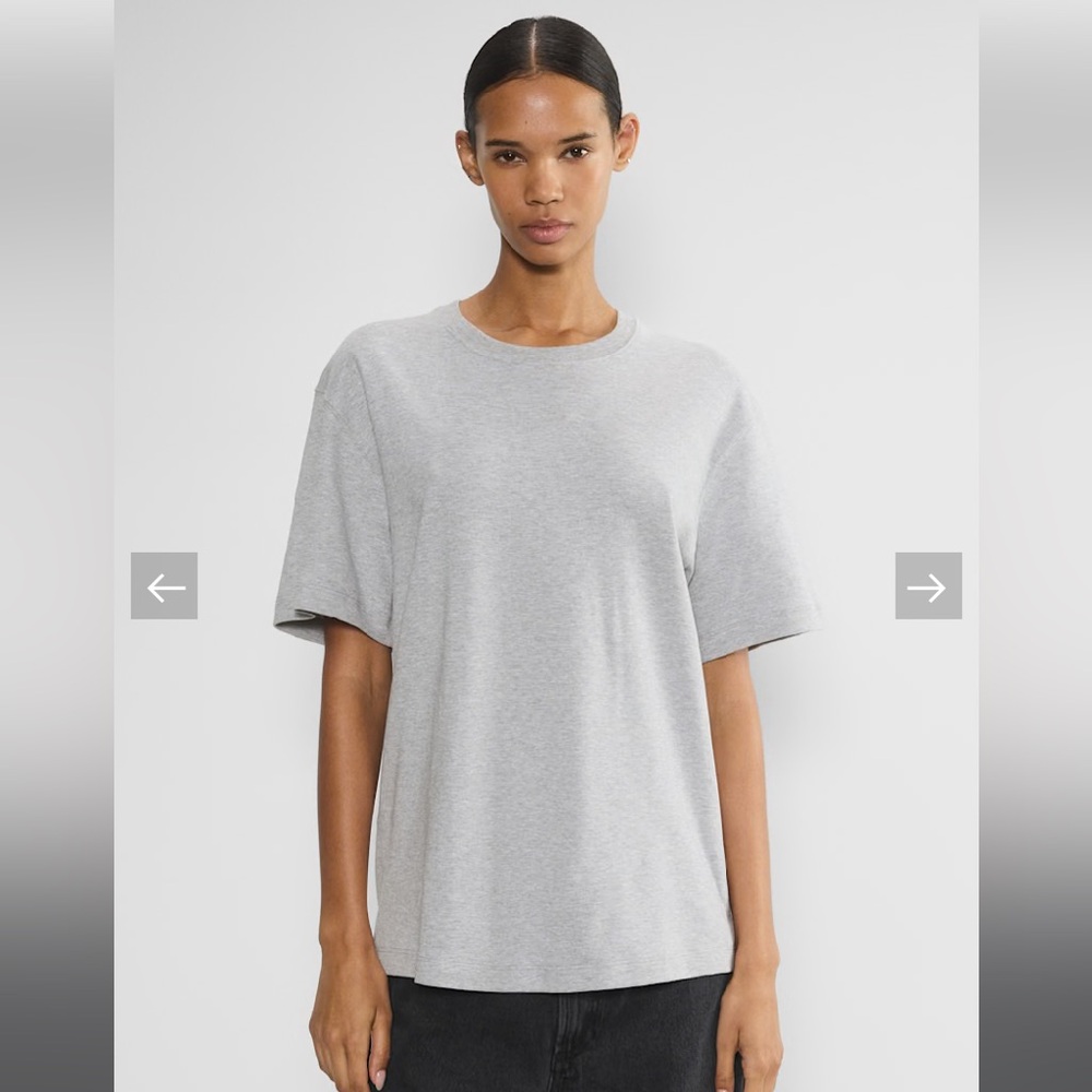 Aritzia Babaton Pegasus T-Shirt
